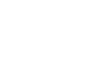 Icon Bed1